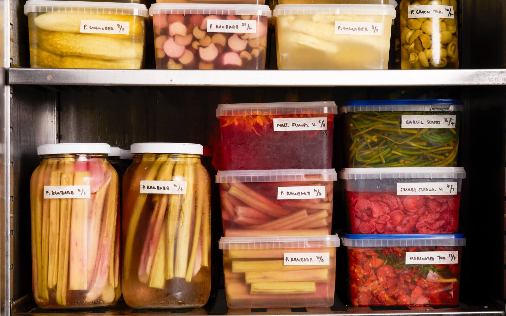 n Appetite for Sustainable Dining | The Climate Tribe
