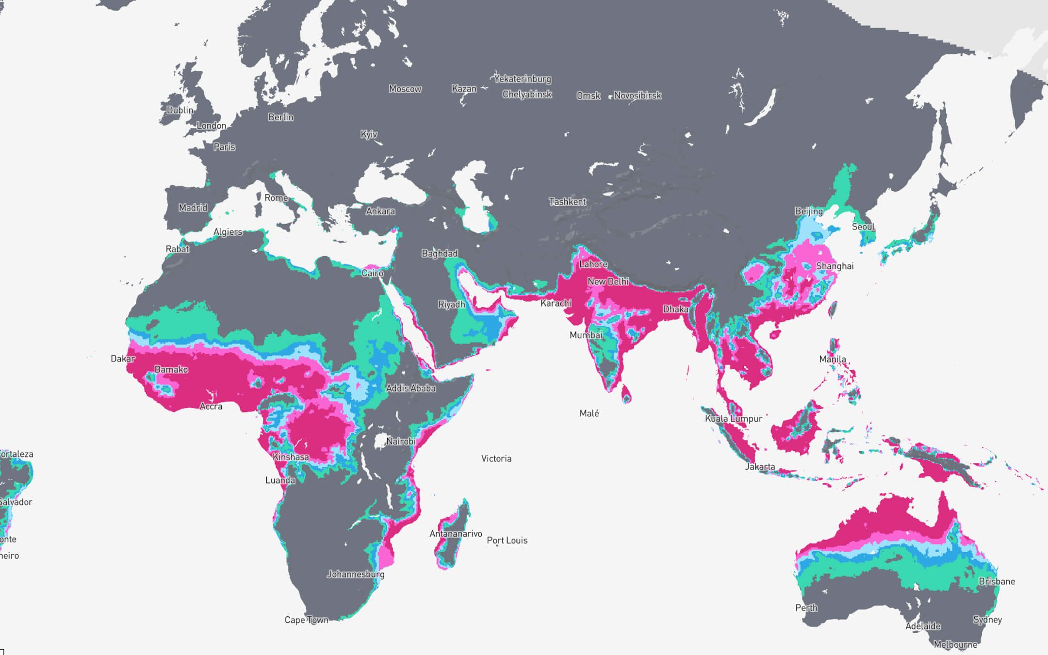 A Beginner’s Mindset for the World of Tomorrow | The Climate Tribe