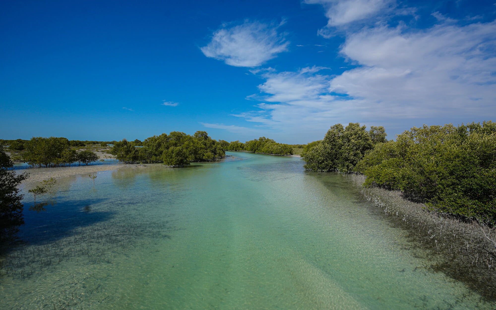 A World of Climate Solutions | The Climate Tribe